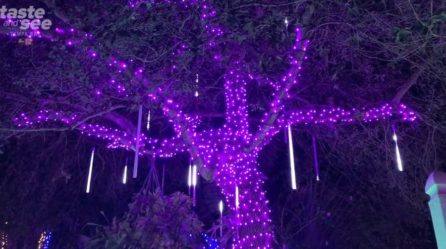 PHOTOS Christmas lights at the Florida Botanical Gardens in Largo
